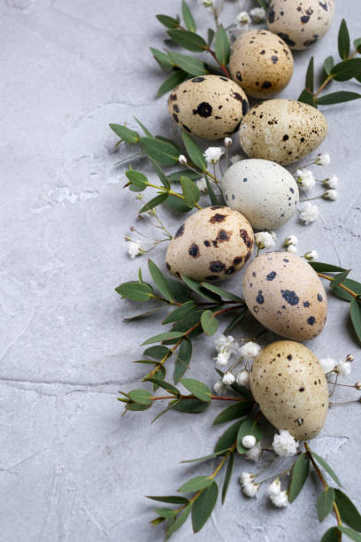istock Easter spring decorative composition  with easter quail eggs and leaf sprigs of eucalyptus. On a gray concrete background with place for text. 1092134954
