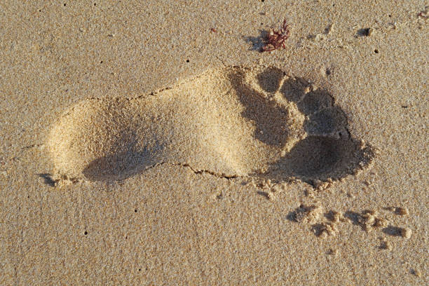 istock Single footprint in the sand 1092135632