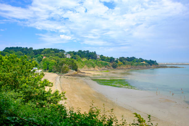 istock View on the beach between pine trees in Etables Sur Mer, Brittany, France 1092138080