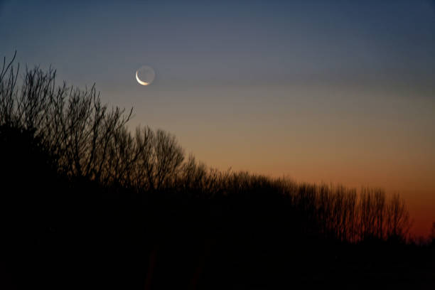 istock Sunrise in field with a cloudy sky 1092144114