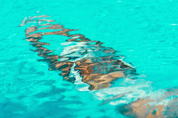 istock Person Swimming In Pool 1092144470
