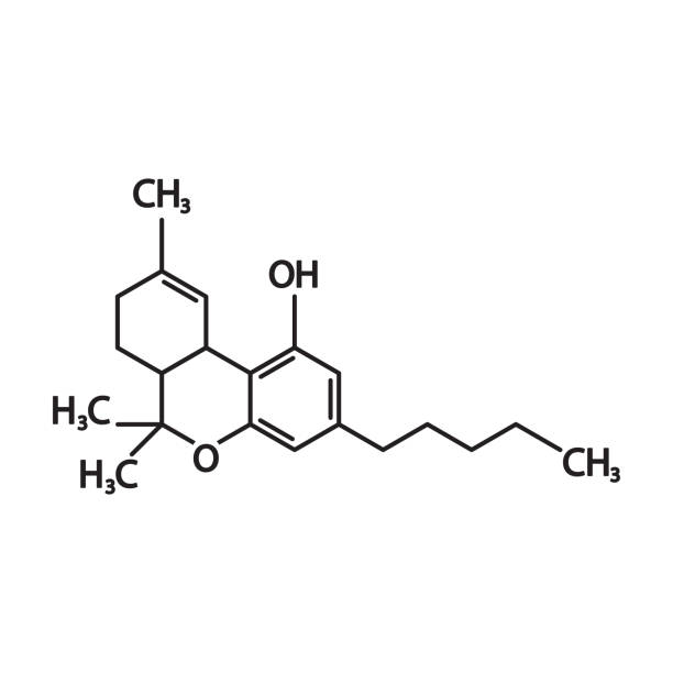 THC or tetrahydrocannabinol molecular structural chemical formula. Vector icon. THC or tetrahydrocannabinol molecular structural chemical formula. Vector icon. eps10. chemical formula stock illustrations