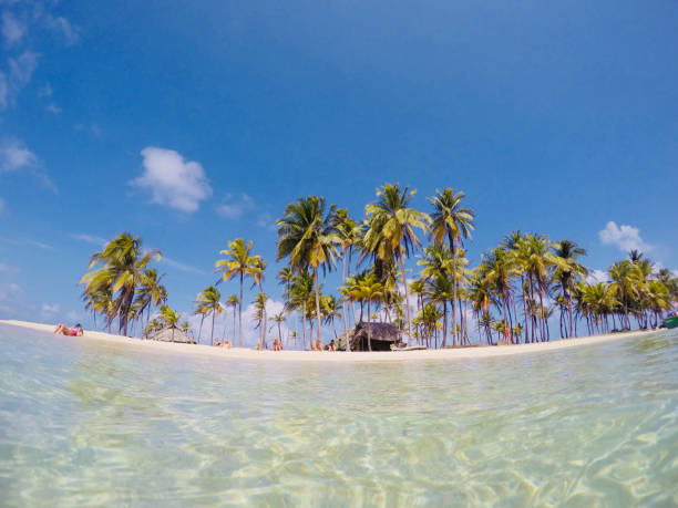 istock people on small island relaxing on beach below palm trees 1092153774