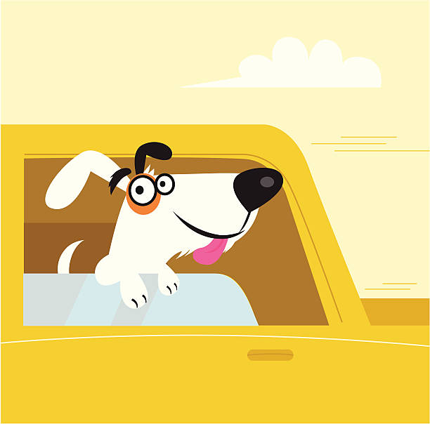 illustrazioni stock, clip art, cartoni animati e icone di tendenza di bianco e nero di cane felice viaggio in macchina gialla - dog car