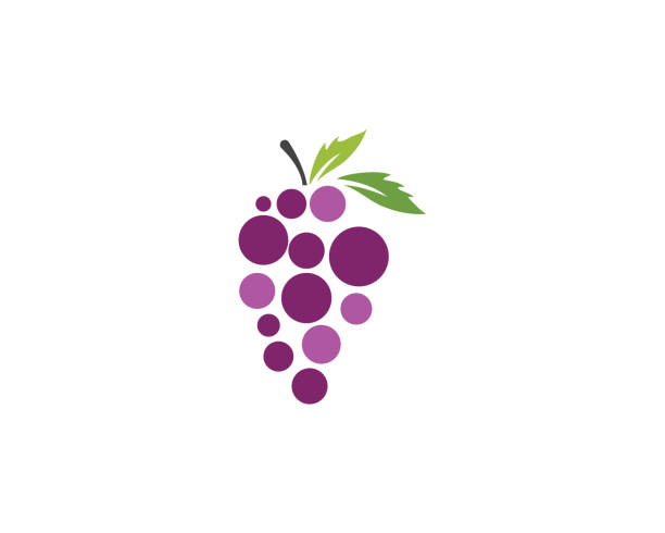 ilustraciones, imágenes clip art, dibujos animados e iconos de stock de uvas vector ilustración diseño de icono - uva