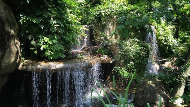 istock Lush foliage around a stone waterfall 1092163018