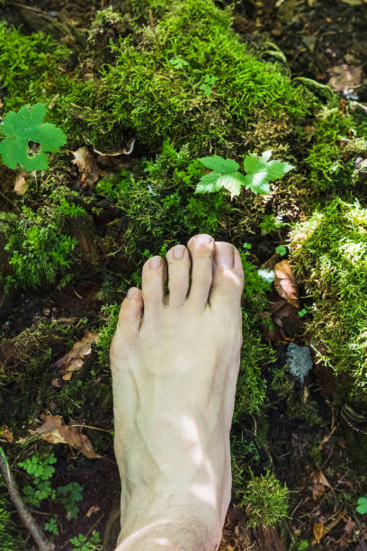 istock A barefoot aerial view on mossy surface in the forest 1092163182