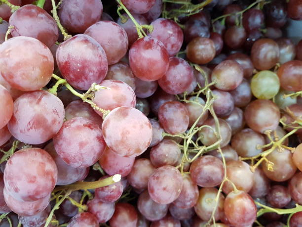 красный виноград содержит важные питательные вещества ресвератрол - resveratrol wineglass wine bottle wine стоковые фото и изображения