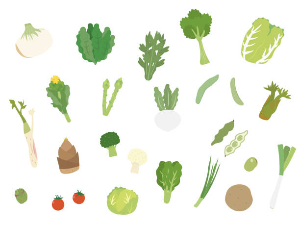 stockillustraties, clipart, cartoons en iconen met lente groenten - bieslook illustraties