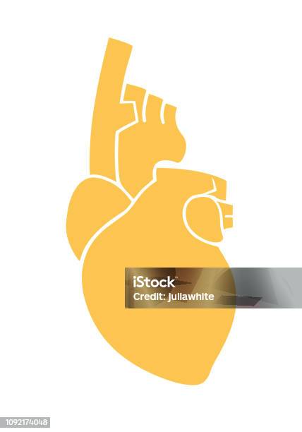 Anatomical Human Heart Sign Flat Design Stock Illustration - Download Image Now - Anatomy, Aorta, Art