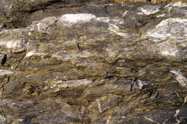 Cross section of rock backgrounds