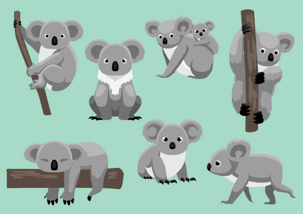 ilustraciones, imágenes clip art, dibujos animados e iconos de stock de vector ilustración de dibujos animados lindo koala siete plantea - marsupial