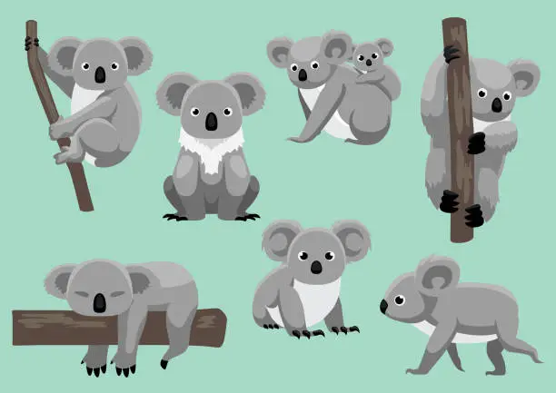 Vector illustration of Cute Koala Seven Poses Cartoon Vector Illustration