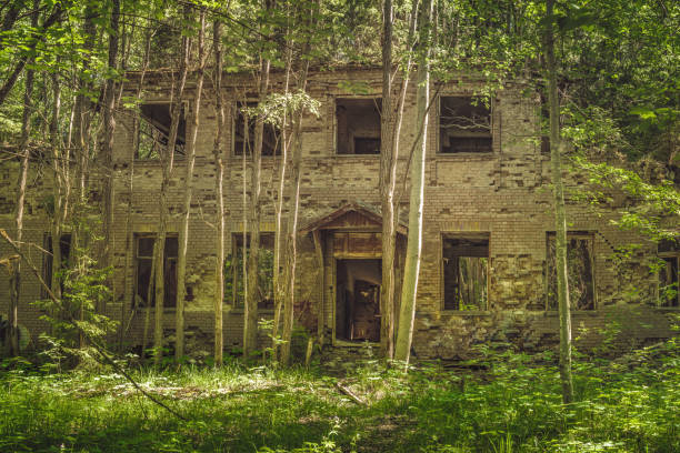 Old building standing in the middle of a green and lush forest. Totally destroyed by nature. Trees and bushes growing all around it
