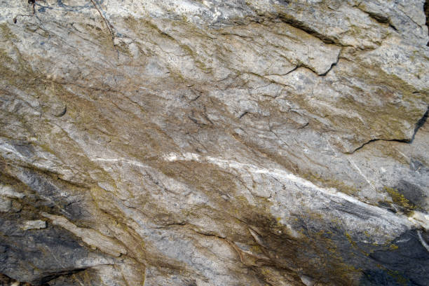 Cross section of rock backgrounds