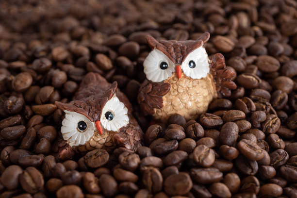 istock brown ceramic owls on roasted coffee beans background 1092188658