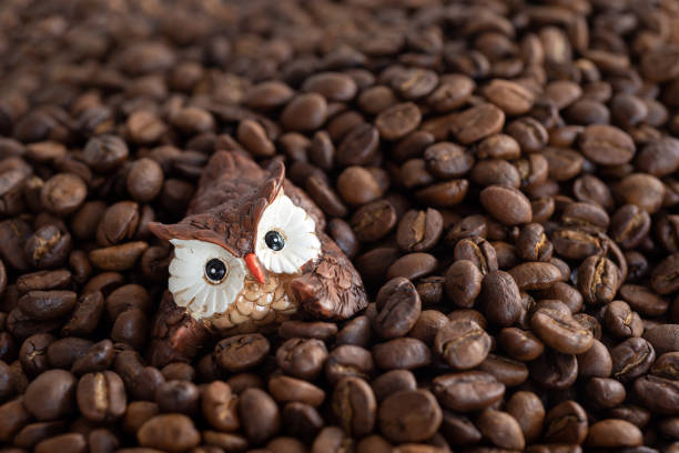 istock brown ceramic owls on roasted coffee beans background 1092188684