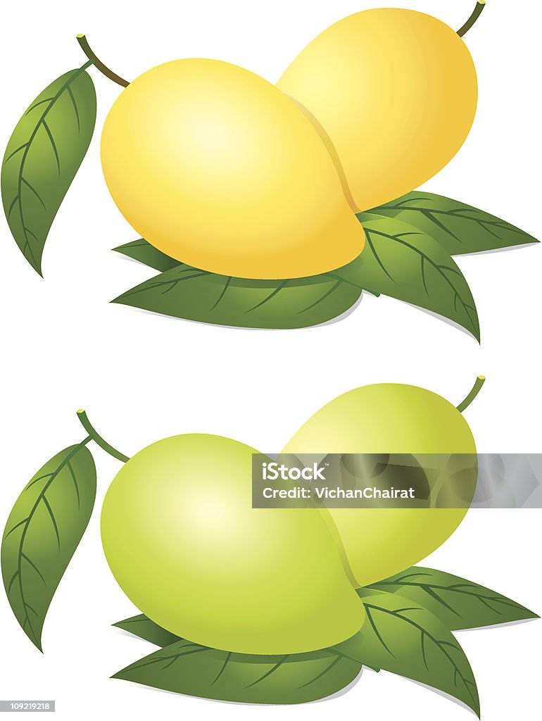 Mango - arte vectorial de Mango - Fruta tropical libre de derechos