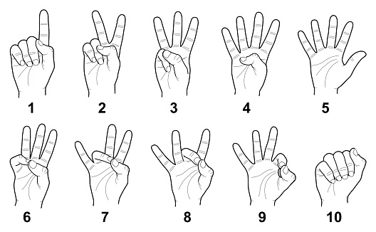 Hand sign language numbers collection - vector line illustration