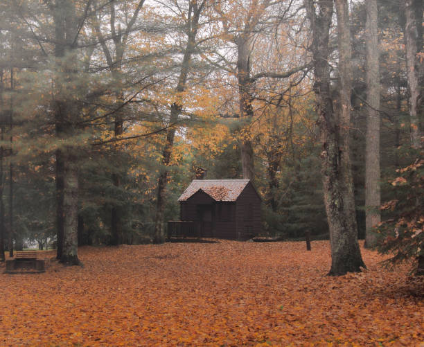 petite cabane dans la forêt - cottage autumn wood woods photos et images de collection