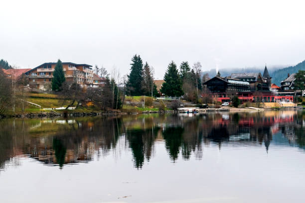istock Titisee and Schluchsee lakes in Black forest, Germany 1092213252