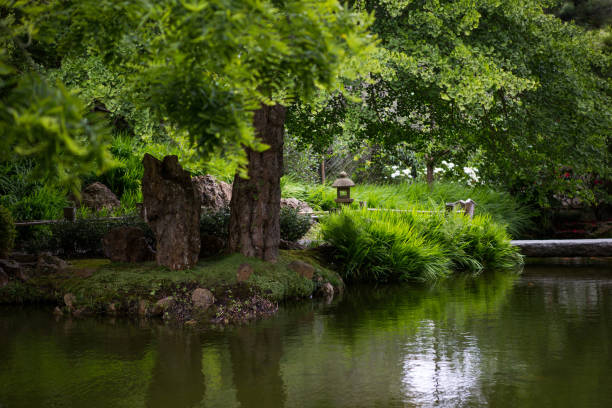 istock Scenic View Of Lake In Park 1092222794