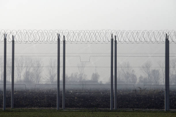 Prison fence with barbed wire Prison fence with barbed wire prison escape stock pictures, royalty-free photos & images