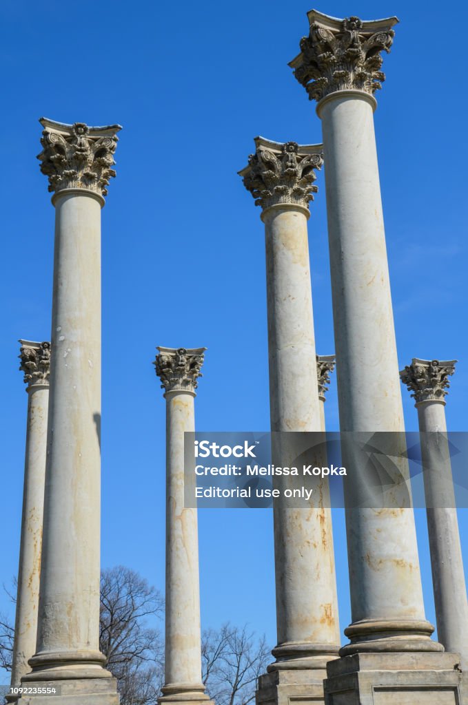 The Capitol Columns in the National Arboretum in Washington DC against a blue sky Adult Stock Photo