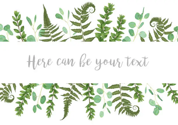 Vector illustration of Beautiful festive frame with green leaves of forest fern, boxwood and eucalyptus. Vector sample for wedding invitations, cards, banners, certificates. Horizontal