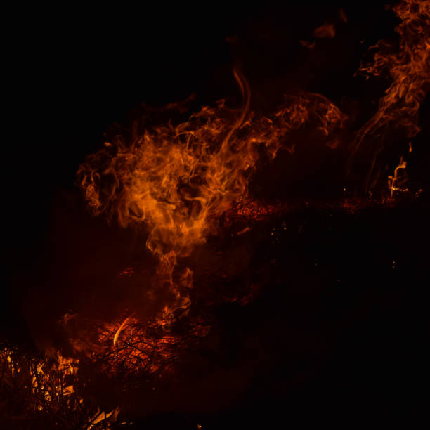 Fire. Burning of rice straw at night.