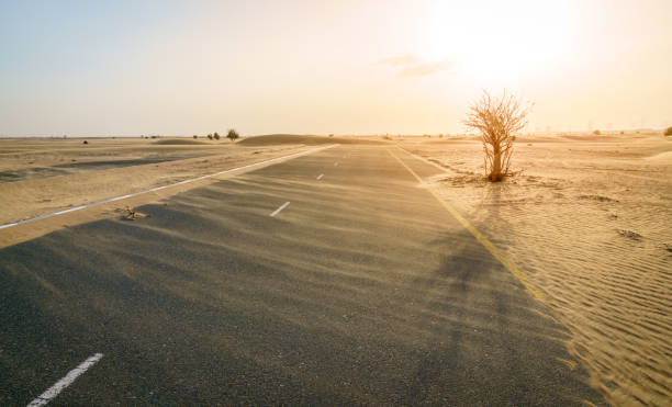 carretera del desierto abandonado - single line yellow road asphalt fotografías e imágenes de stock