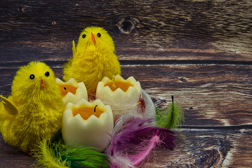 Easter decorative composition with yellow chickens and candles in the shape of eggs and colorful feathers in vintage style.Close, horizontal view from above