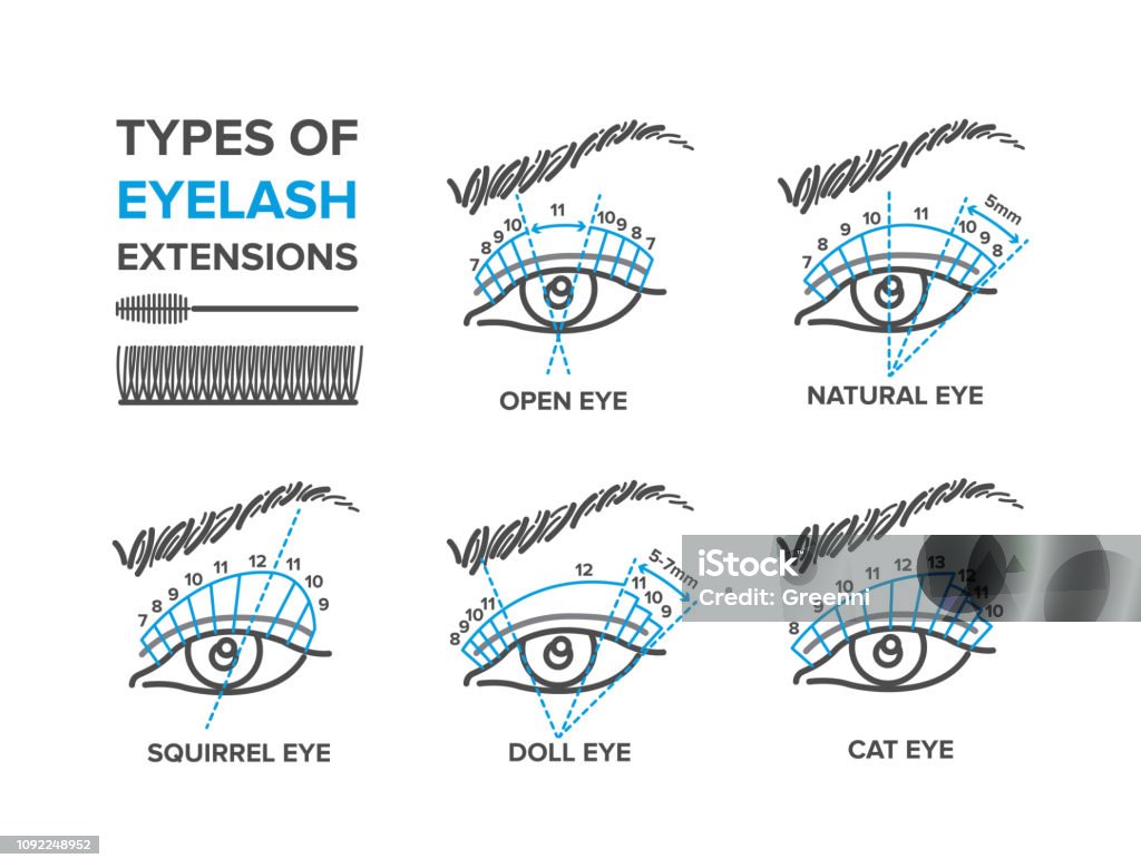 Eyebrow permanent makeup. Tattoo procedure illustration, microblading [Converted] Types of eyelash extensions. Illustration for your design Eyelash stock vector