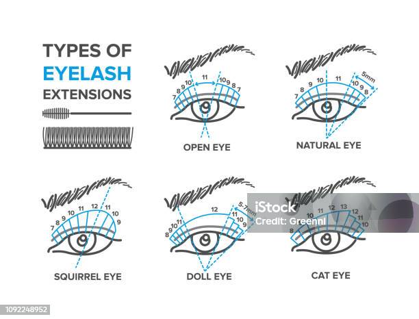 Eyebrow Permanent Makeup Tattoo Procedure Illustration Microblading Converted Stock Illustration - Download Image Now