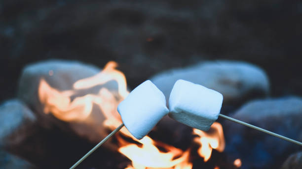 roasting marshmallows roasting marshmallows over a camp fire , shot for copy space filter used blurred background for text overlay smore photos stock pictures, royalty-free photos & images