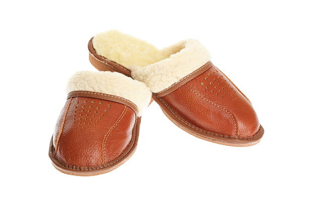 istock brown slippers isolated on a white background. 109225146