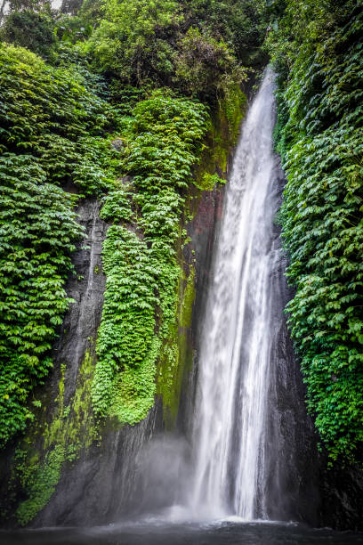 istock Red Coral Waterfall, Munduk, Bali, Indonesia 1092254702