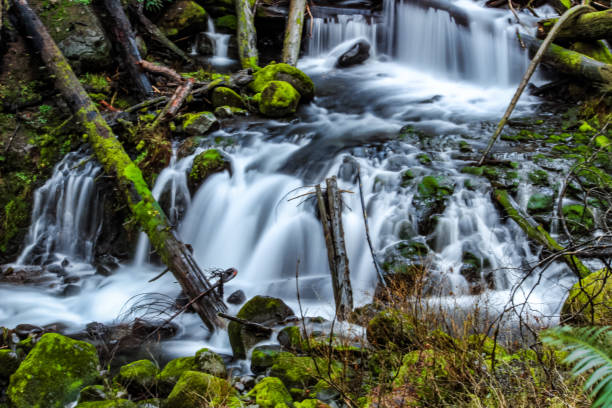 istock River water falls in the Columbia River Gorge in Oregon. 1092257376
