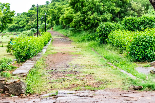 istock indian rural garden pathway with green bushes looking awesome. 1092264332