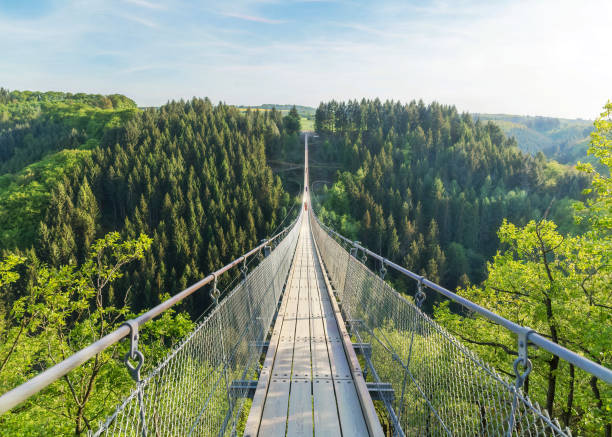 the geierlay suspension bridge - rhine gorge imagens e fotografias de stock