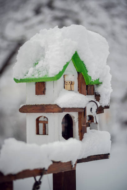istock snowy bird house in winter 1092265514