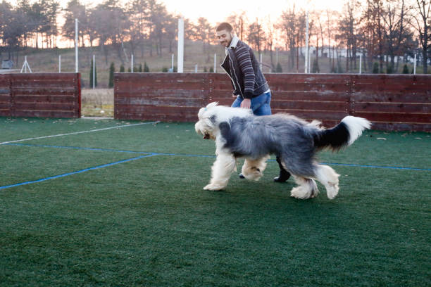 Man with his dog playing in the park