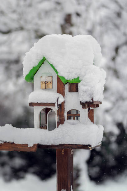 istock snowy bird house in winter 1092267592