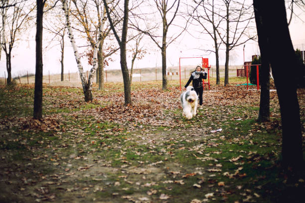Girl playing with dog in park