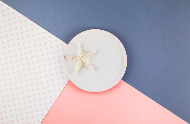 istock Plate with seashells on color paper background 1092273448