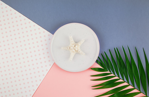 Creative flat lay top view of color paper background with sea shells on ceramic plate with copy space. Minimal tropical palm leaf plants summer template for your text or design