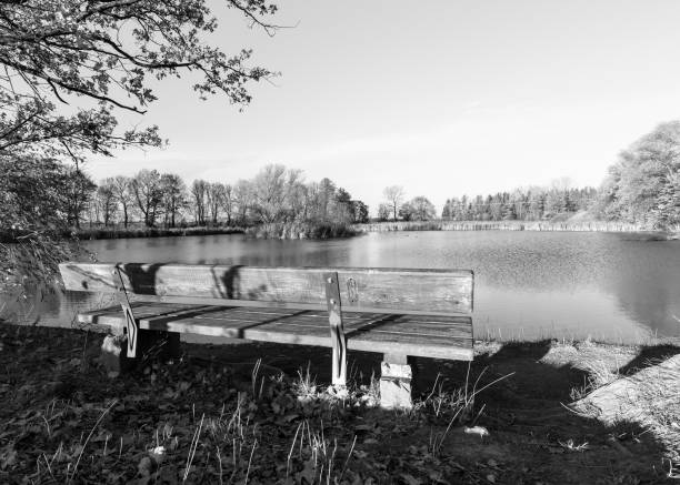 black and white view, autumn landscape