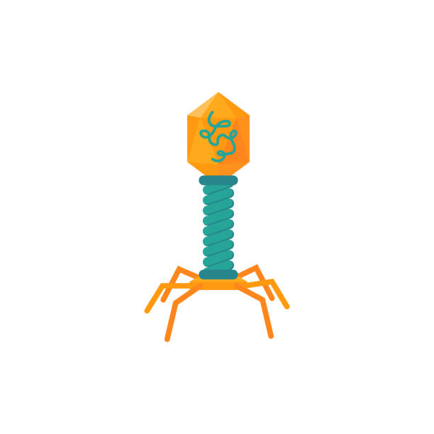 illustrations, cliparts, dessins animés et icônes de icône de virus vecteur dans style plat simple. - security order bacterium biology