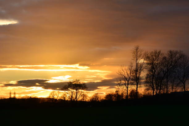 istock Sunset, Trees, Cloud, Sky, landscape, Switzerland 1092289702