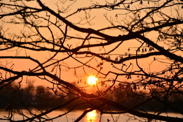 istock Sunset, Trees, Cloud, Sky, landscape, Switzerland 1092289742